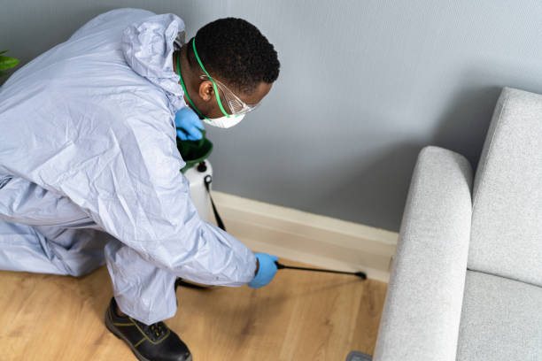 Emergency Pest Control Services in Lake Mary Jane, FL